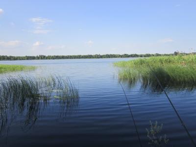 Прикрепленное изображение: IMG_0844.JPG